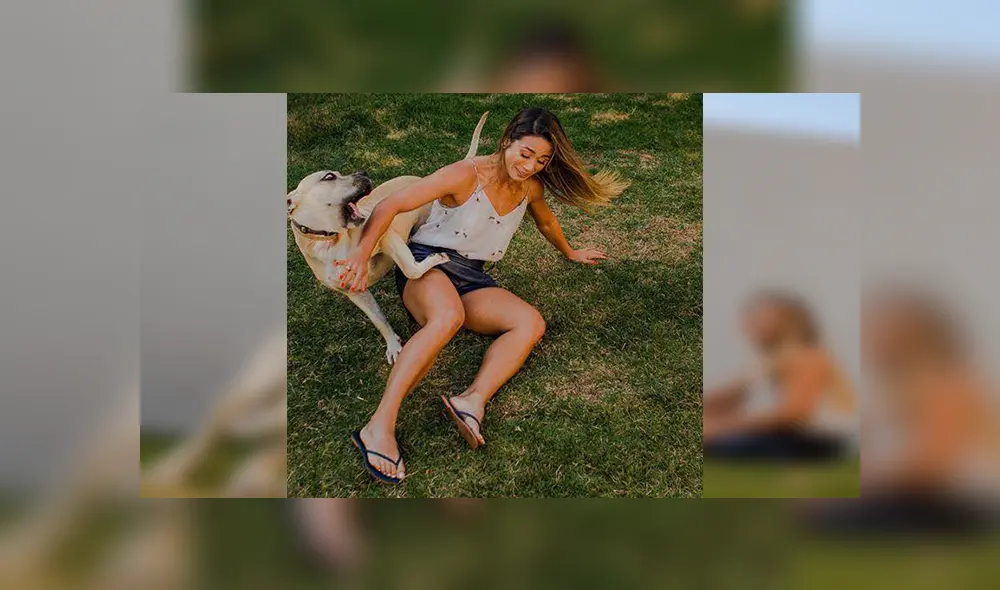 En Facebook, un travieso perro arruinó la sesión de fotos de sus dueños al colocarse delante de la cámara.