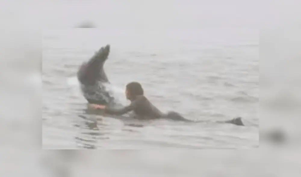 Desliza hacia la izquierda para ver las imágenes del viral de YouTube de la foca emergiendo del mar. Desliza hacia la izquierda para ver las imágenes del viral de YouTube de la foca emergiendo del mar.