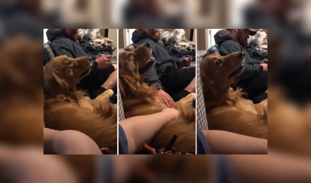 Desliza las imágenes para ver más detalles sobre esta escena que es viral en Facebook.