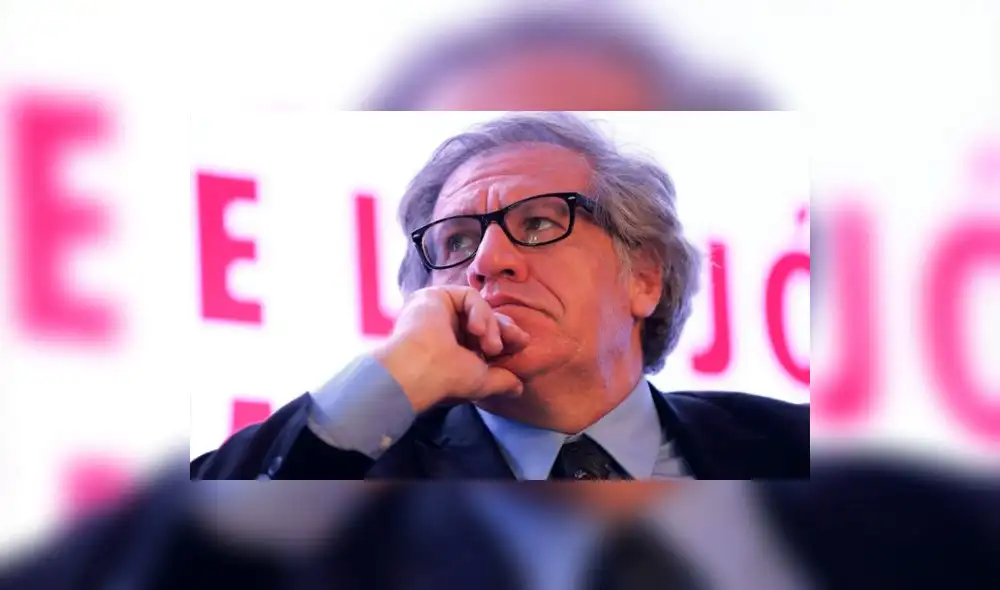 OEA: 20 países miembros declararán que en Venezuela se alteró el orden constitucional OEA: 20 países miembros declararán que en Venezuela se alteró el orden constitucional