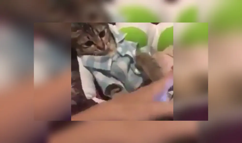 Desliza las imágenes para ver más detalles sobre esta cómica escena que es viral en Facebook. Desliza las imágenes para ver más detalles sobre esta cómica escena que es viral en Facebook.