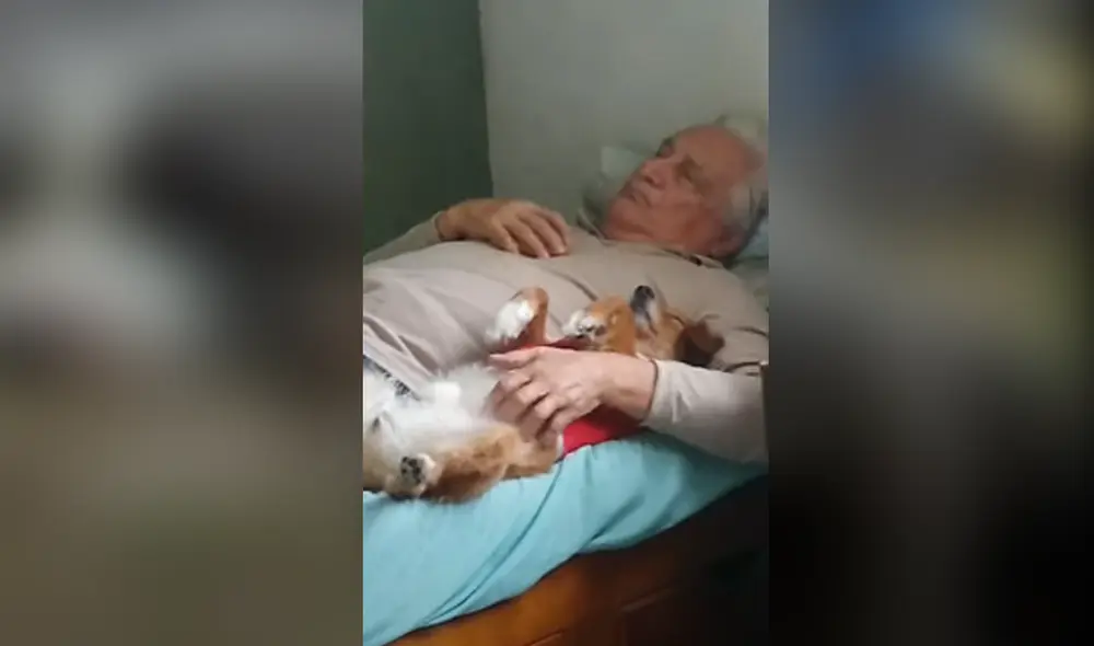 Desliza hacia la izquierda para ver las imágenes del video viral. Foto: captura de Facebook. Desliza hacia la izquierda para ver las imágenes del video viral. Foto: captura de Facebook.