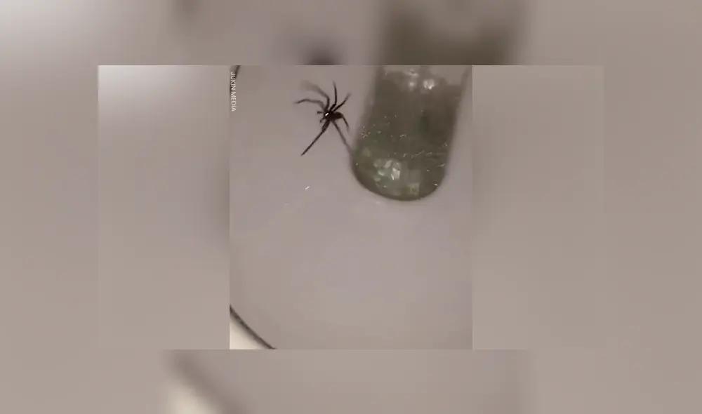 Desliza para ver los momentos más aterradores del video que se volvió viral en YouTube.