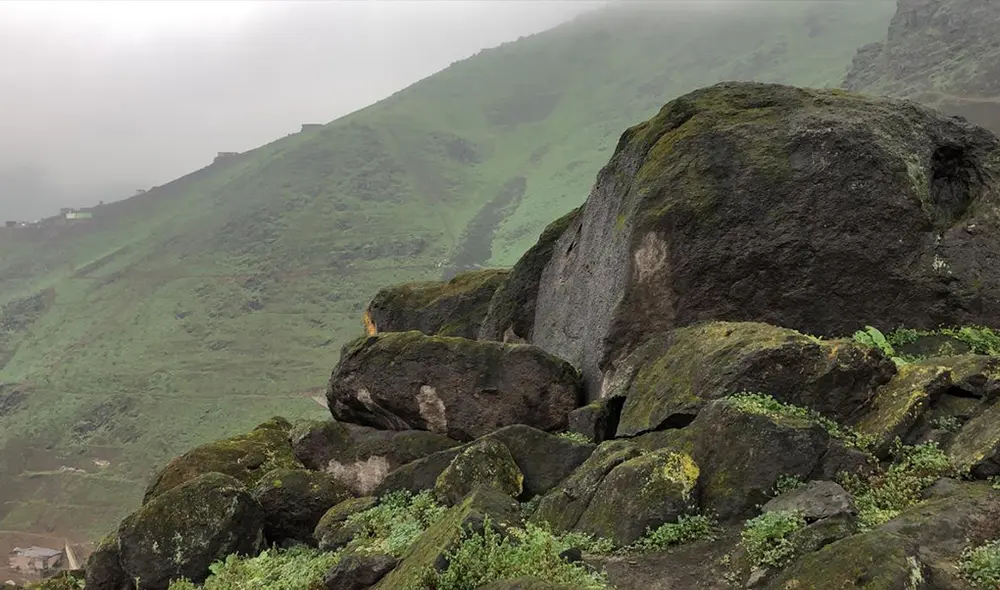Los visitantes caminarán junto a un guía turístico.