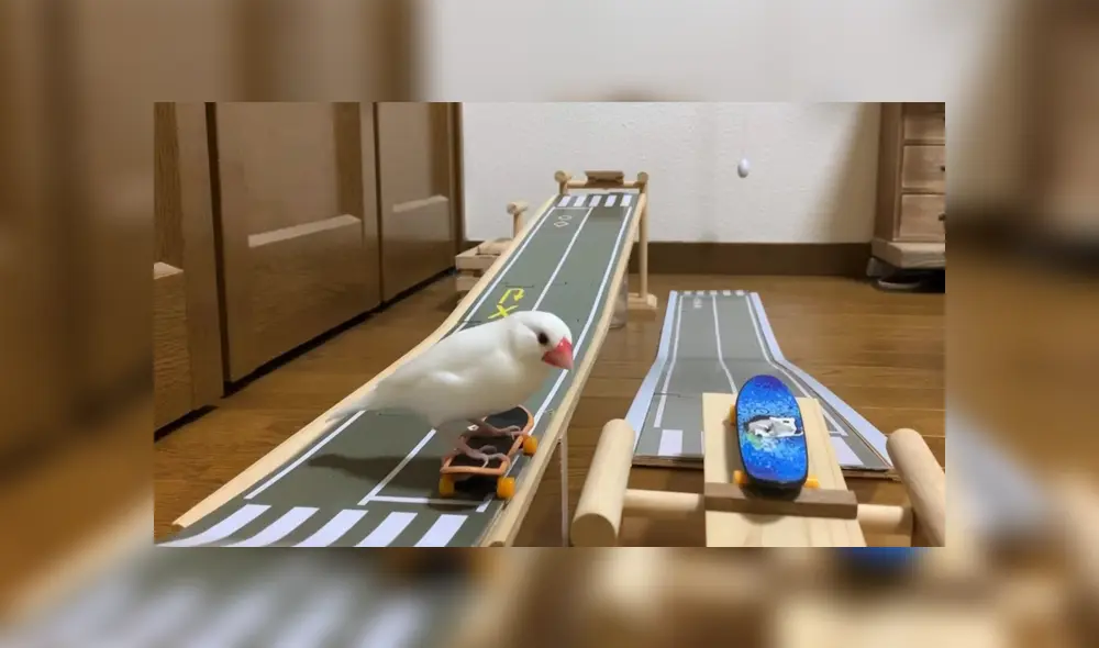 Desliza para ver los detalles del video viral que causa sensación en YouTube. Foto: Captura.