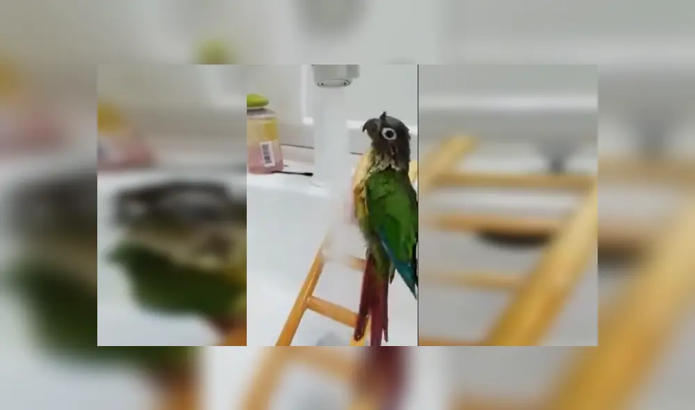 Desliza para ver los detalles del video viral publicado en YouTube. Foto: Captura. Desliza para ver los detalles del video viral publicado en YouTube. Foto: Captura.