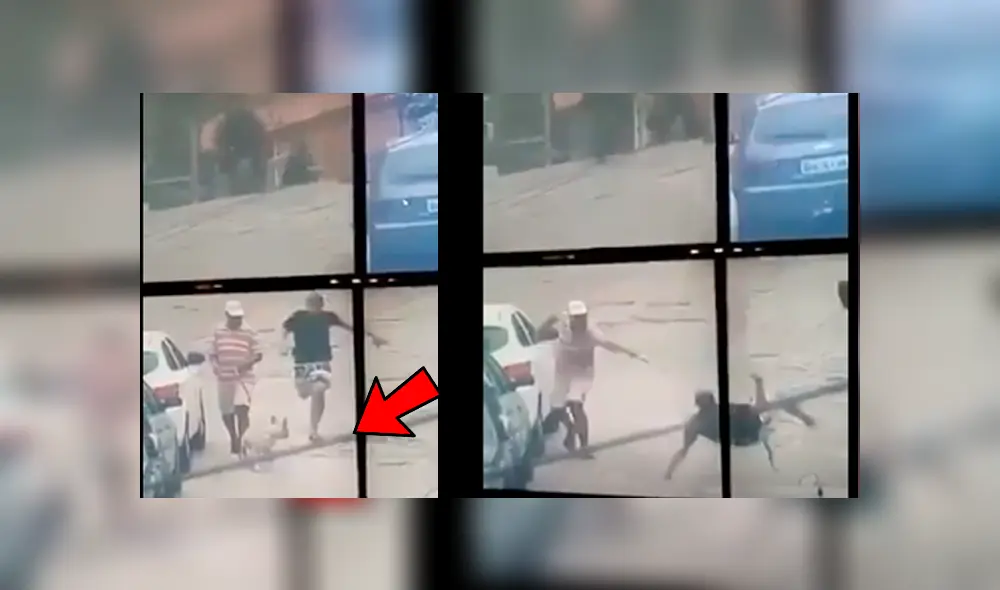 Facebook viral: Cámaras captan a perro que detuvo a ladrón que intentaba escapar de policía 