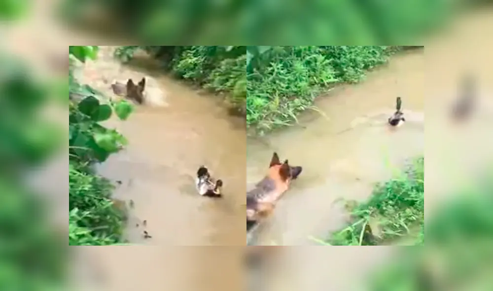 Desliza para ver el video viral de YouTube. Foto: Captura.