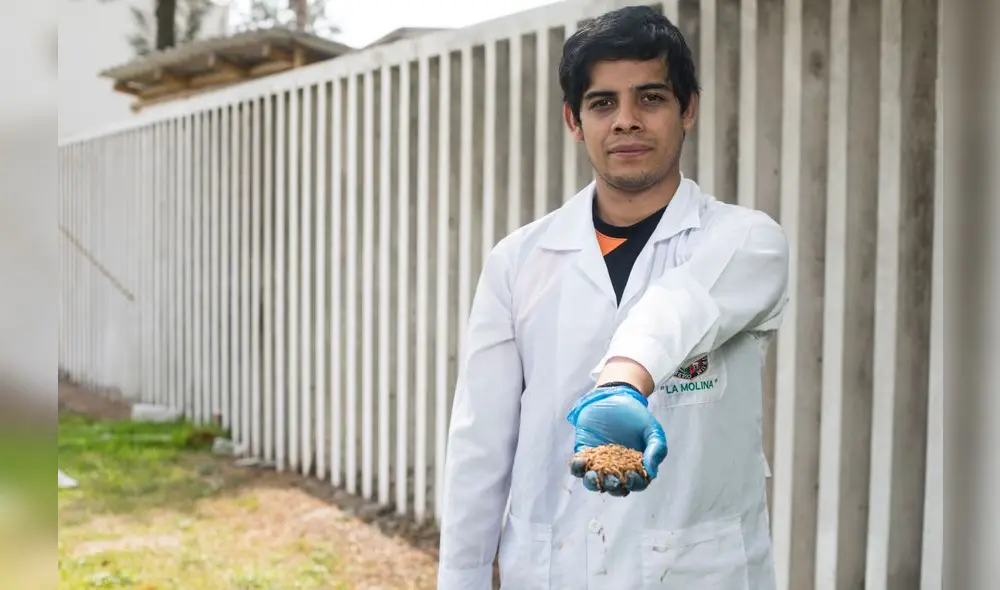 Eduardo Lama, creador de la barra proteica que utiliza larvas del gusano de la harina. Foto: Aldair Mejía. Eduardo Lama, creador de la barra proteica que utiliza larvas del gusano de la harina. Foto: Aldair Mejía.