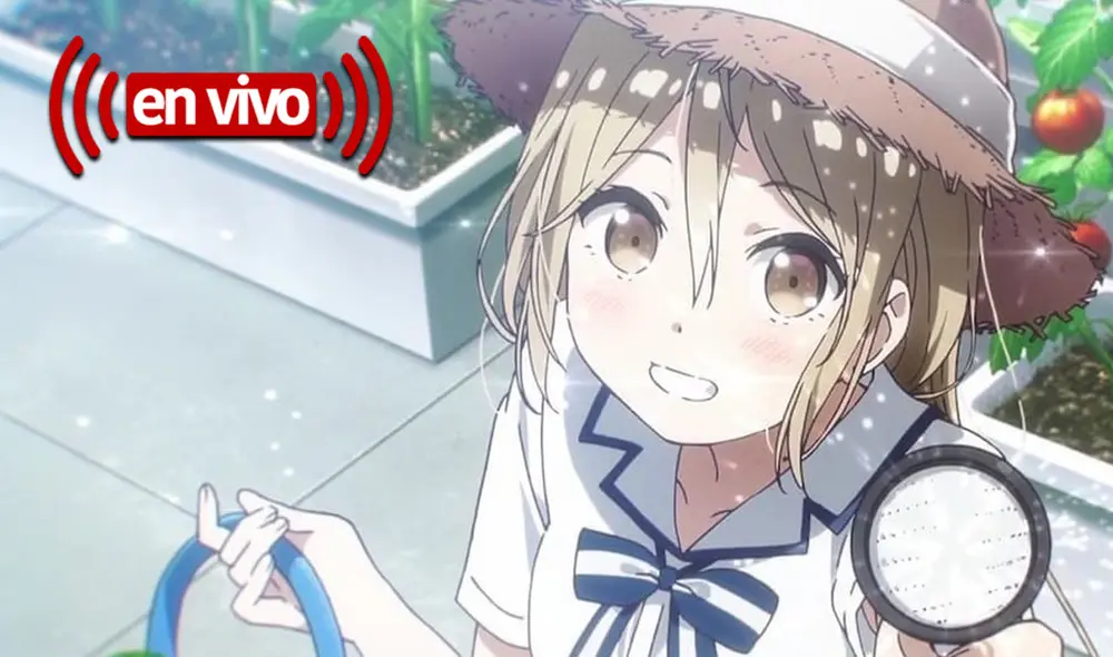 Crunchyroll describe la historia de la franquicia One Room con una “narrativa en primera persona”. Foto: Zero-G