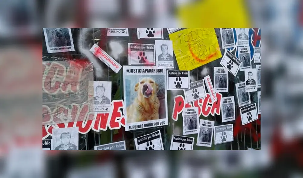 Miles de personas en las redes sociales exigen justicia para Rubio. Foto: Facebook. Miles de personas en las redes sociales exigen justicia para Rubio. Foto: Facebook.