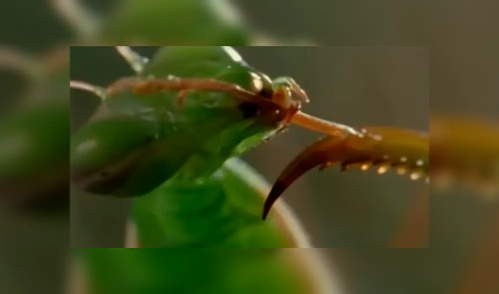 Desliza para ver detalles de este escalofriante viral de YouTube. Foto: Captura.