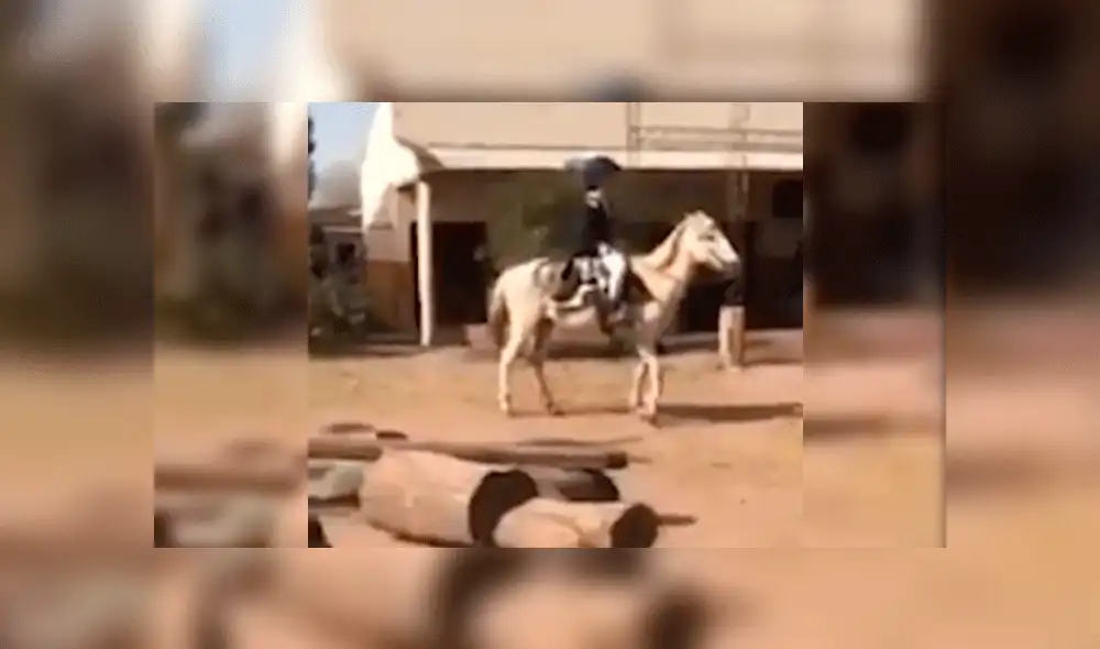 caballo blanco caballo blanco