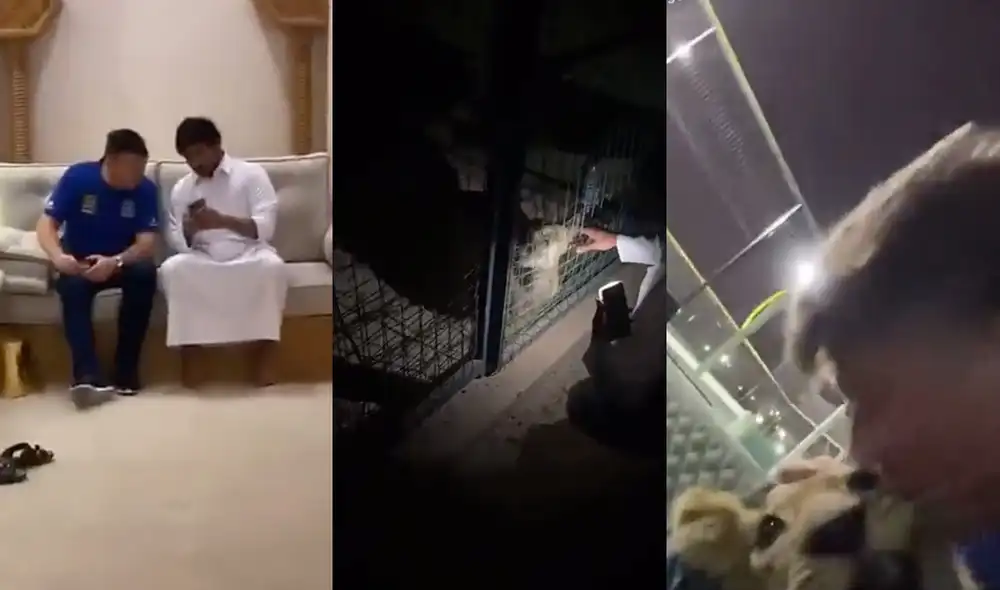 Este video alcanzó los 9 millones de visualizaciones. Foto: composición LR / Twitter / @thecasualultra Este video alcanzó los 9 millones de visualizaciones. Foto: composición LR / Twitter / @thecasualultra