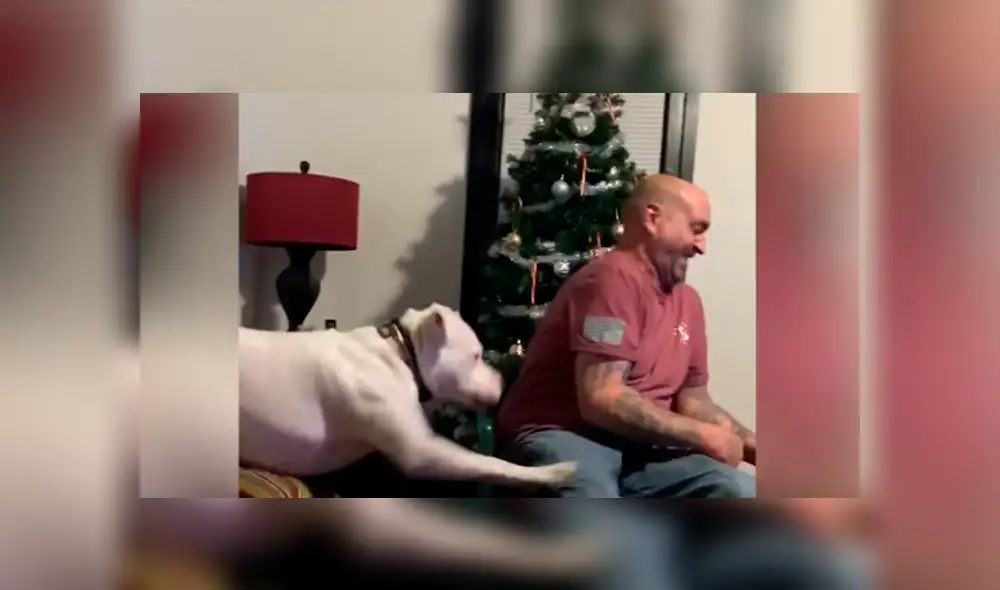 Desliza hacia la izquierda para ver la divertida reacción del perro que es 'famoso' en Facebook. Desliza hacia la izquierda para ver la divertida reacción del perro que es 'famoso' en Facebook.