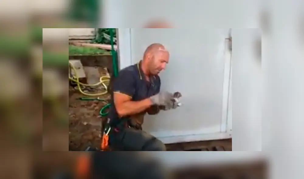 La conmovedora reacción de un bombero al rescatar a un gatito atrapado en agujero [VIDEO]