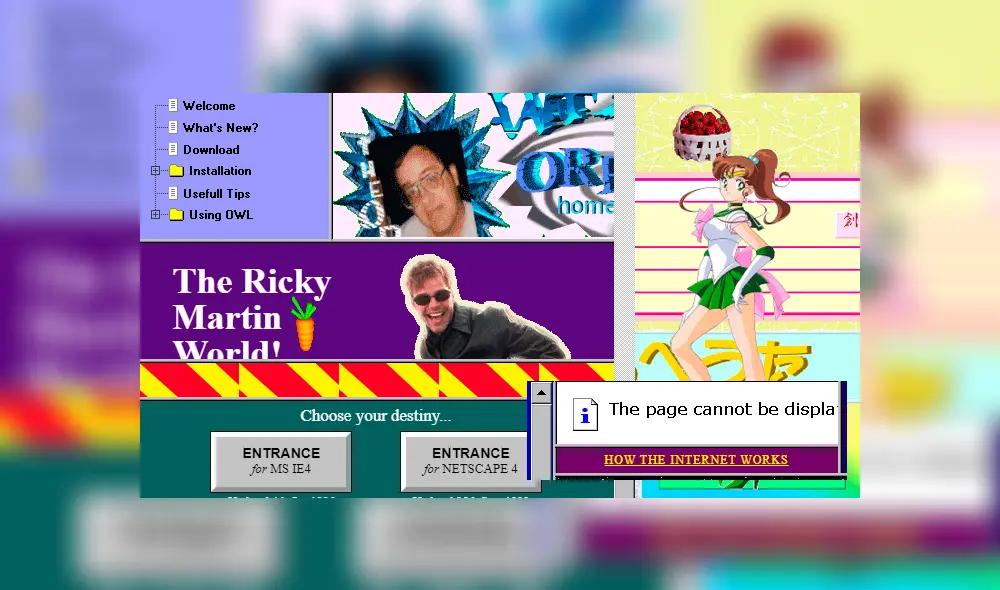 Antes de Google, Facebook y las redes sociales, la web estaba dominada por el contenido de los mismos usuarios comunes y corrientes. ¿Lo viviste? Imagen: cameronsworld.