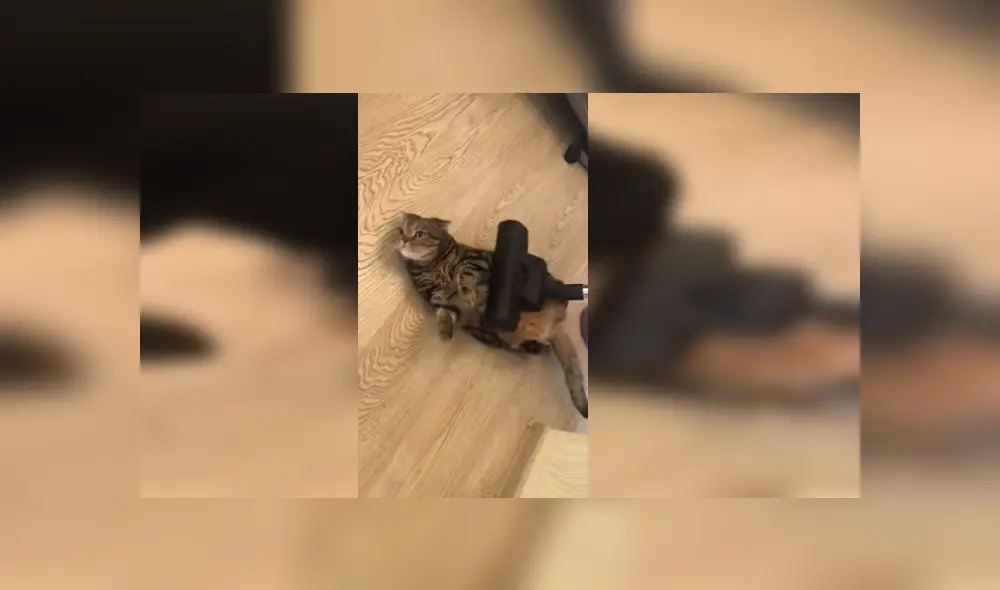 Desliza para ver los detalles del video viral publicado en YouTube. Foto: Captura. Desliza para ver los detalles del video viral publicado en YouTube. Foto: Captura.