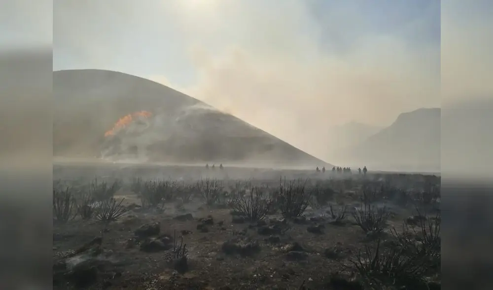 Incendio en el Valle de los Volcanes Incendio en el Valle de los Volcanes