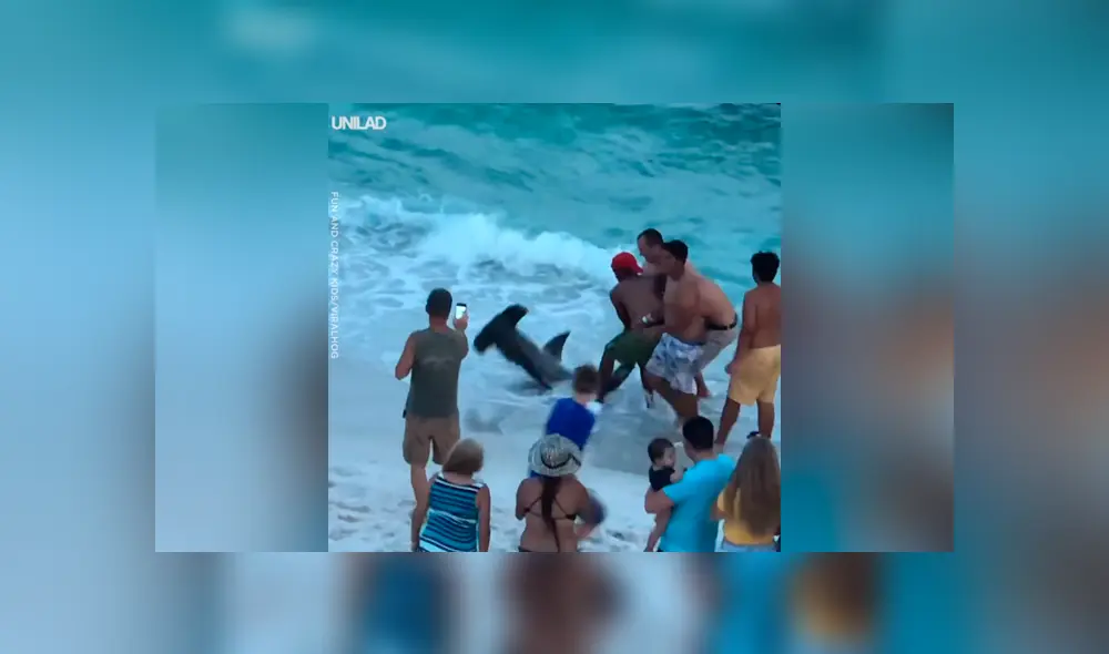Hombres arrastran hambrienta criatura del mar, le sacan anzuelo atravesado y sucede lo increíble [VIDEO] 