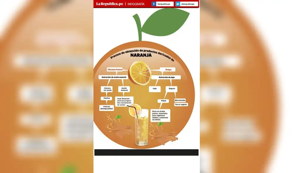 Cáscara de naranja para bolsas y evitar el cáncer 