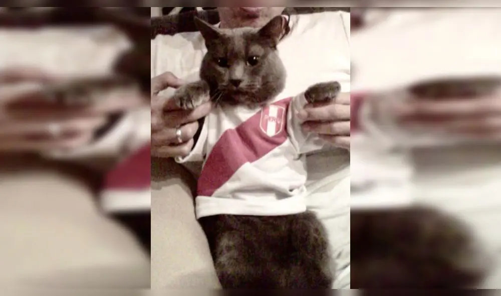 Pedro Suárez Vértiz conmueve a fans con trágica historia de su mascota [FOTOS]