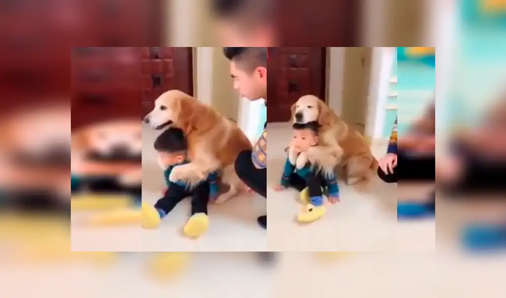 Facebook viral: perro ve que su dueño quiso "castigar severamente" a su hijo y sale a defenderlo [VIDEO]