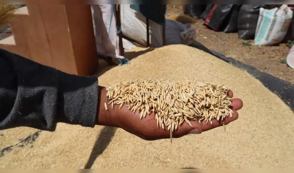 Foto: Minagri Foto: Minagri