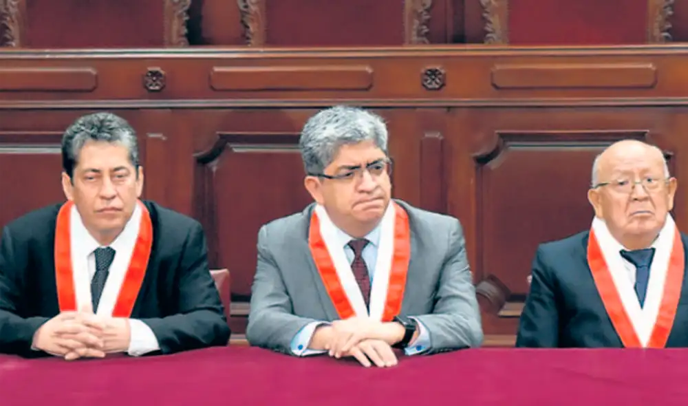 tribunal constitucional