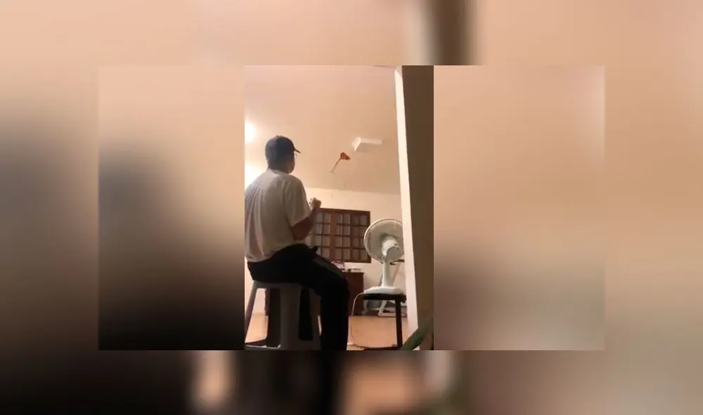 Desliza las imágenes para ver el increíble hallazgo que hizo la joven al volver a casa con su padre. Foto: Captura