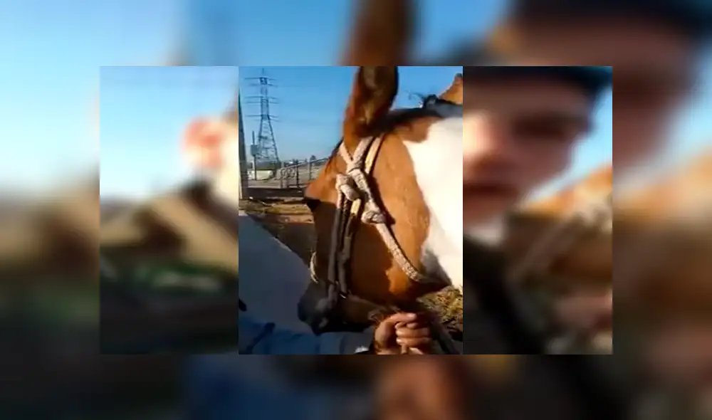 Facebook viral: niño llora de la emoción cuando policía le devuelve su caballo perdido [VIDEO]