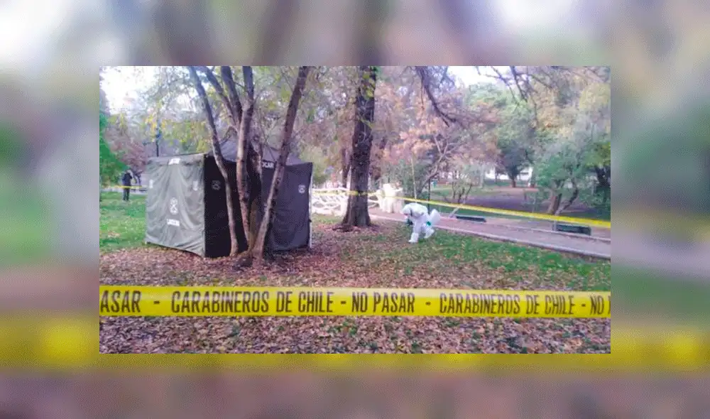 Hallan restos de un bebé de cinco meses enterrados en un parque