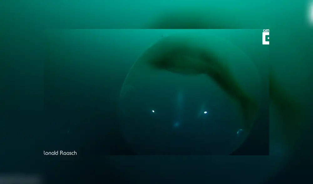 YouTube viral: buzo descubre extraña ‘burbuja’ en fondo del océano y miles quedan asombrados al saber qué es realmente