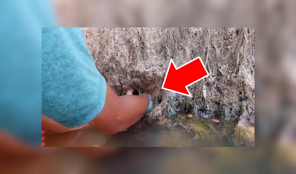 YouTube viral: 'Misteriosas criaturas' emergen de hoyo que descubrió joven [VIDEO]