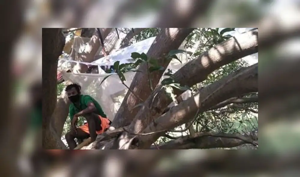 India: hombres hacen cuarentena en los árboles por falta de espacio en sus casas [VIDEO]