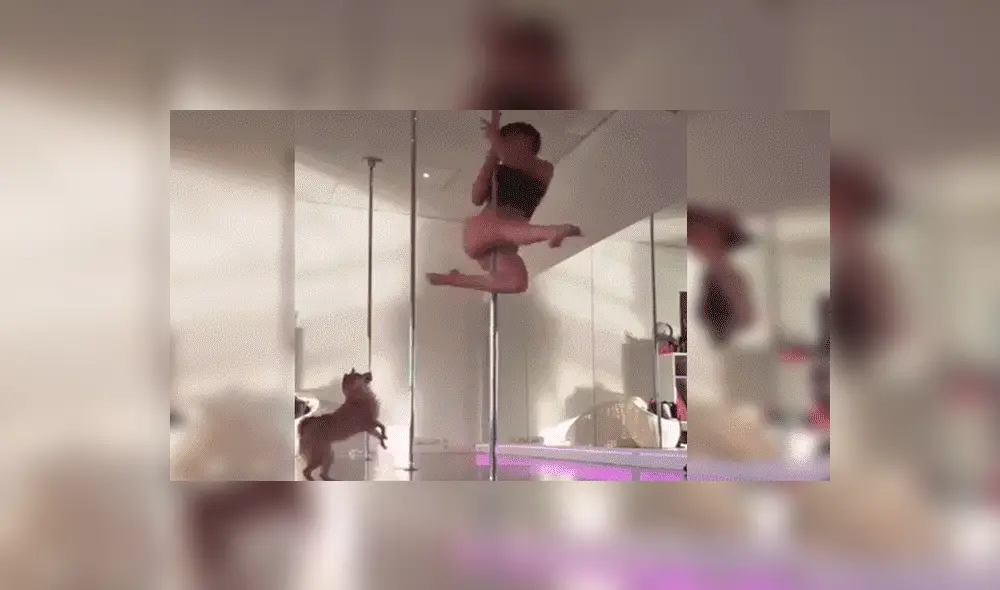 YouTube viral: bella joven hace sexy baile de ‘pole dance’ y su perro le arruina su presentación [VIDEO]