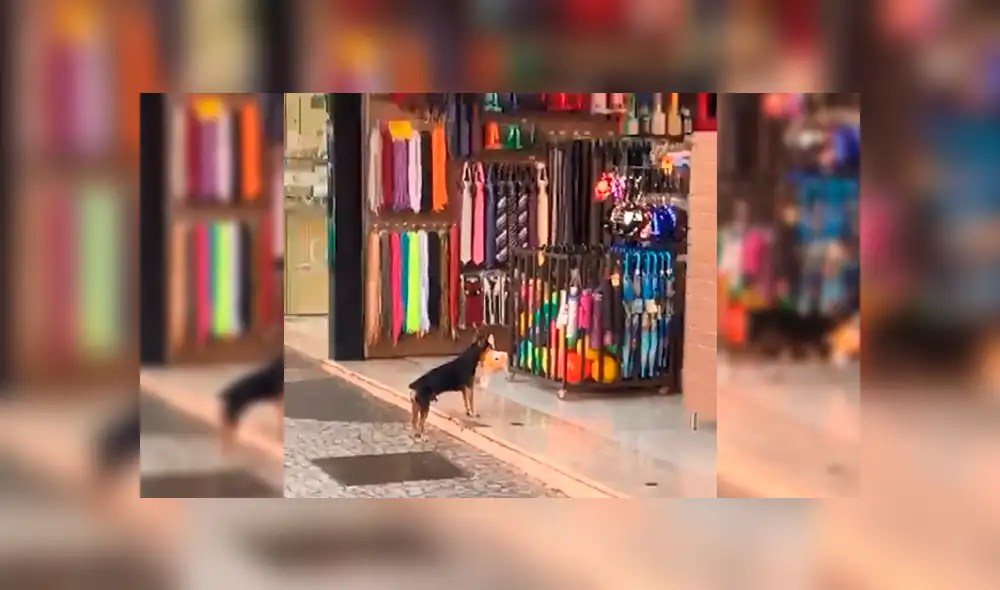 Desliza para ver los detalles del video viral de Facebook. Foto: Captura.