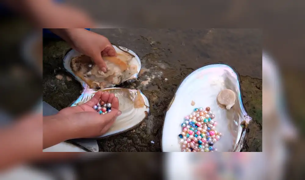 Desliza a la izquierda para ver el descubrimiento que ha sorprendido a los usuarios de YouTube. Foto: Captura. Desliza a la izquierda para ver el descubrimiento que ha sorprendido a los usuarios de YouTube. Foto: Captura.