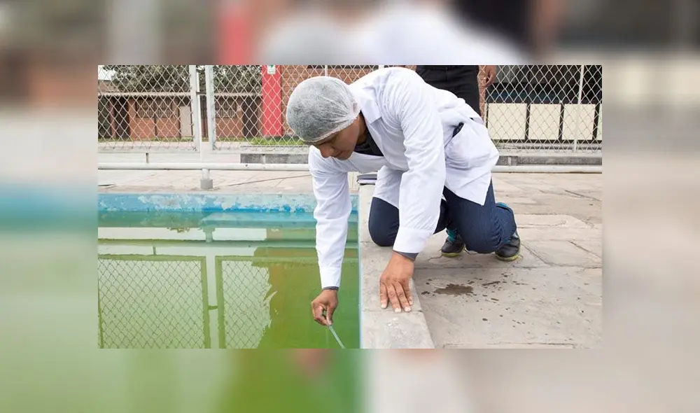Verifican piscinas para prevenir amenaza de ameba 'come cerebro' Verifican piscinas para prevenir amenaza de ameba 'come cerebro'