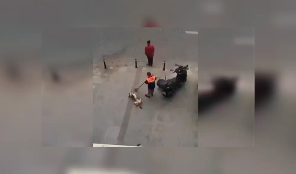 El can aprovechó el trabajo del empleado de limpieza para obtener un momento de relajo. La hilarante escena se ha hecho viral en Facebook El can aprovechó el trabajo del empleado de limpieza para obtener un momento de relajo. La hilarante escena se ha hecho viral en Facebook