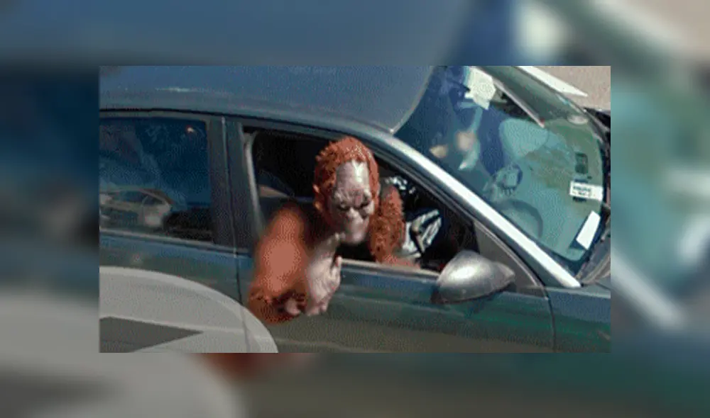 Google Maps: terrorífica 'criatura' fue captada viajando al interior de un auto [FOTOS]