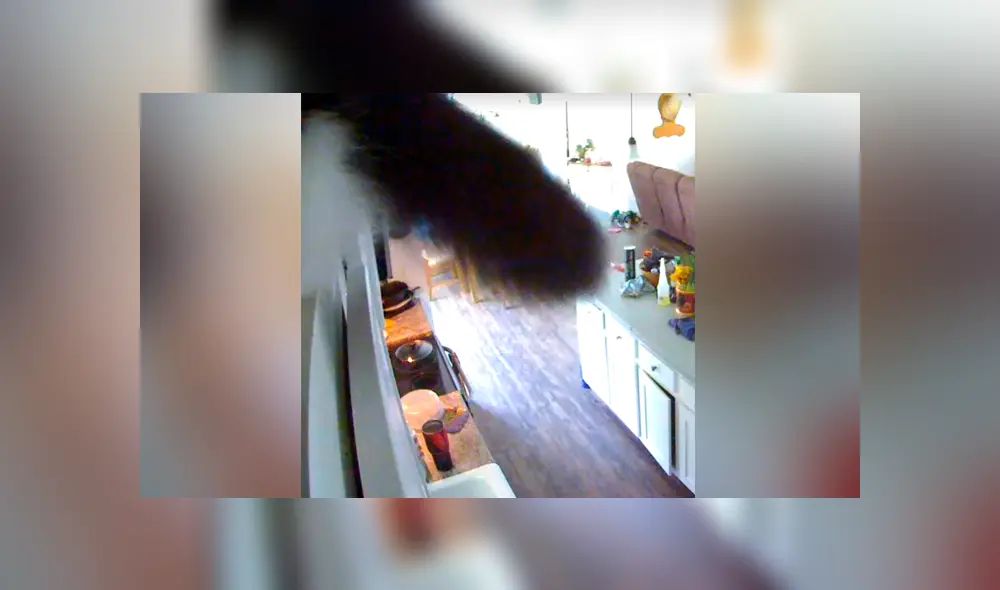 Un video viral muestra el momento en el que un hombre descubre quién movía las cosas dentro de su hogar mientras estaba ausente.