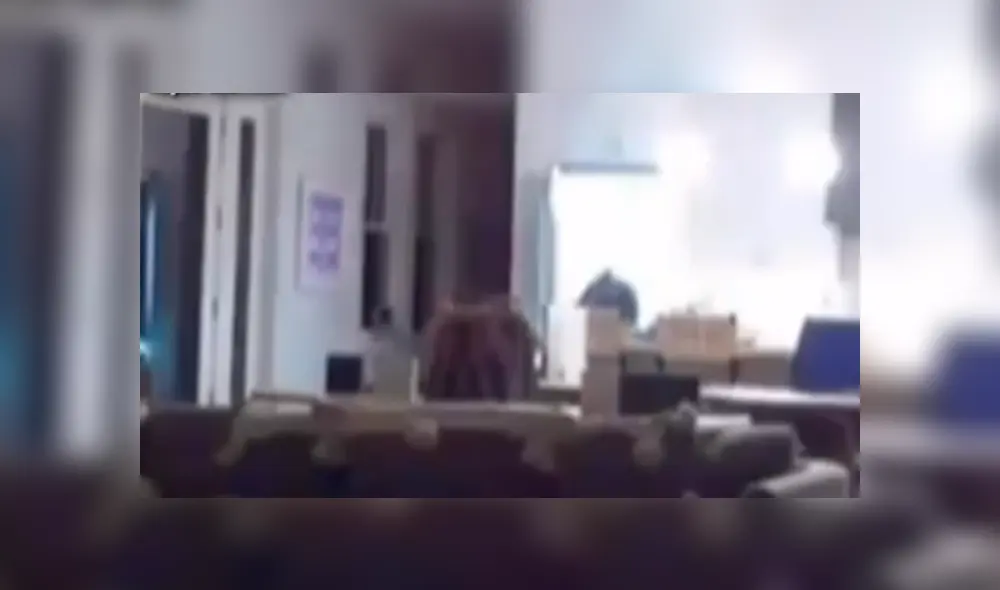 Mujer revisa cámaras de seguridad y descubre al 'intruso’ que le robaba su comida de madrugada.