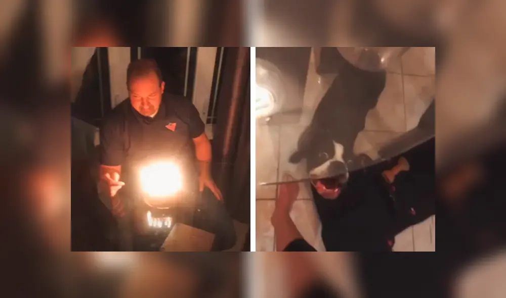 Desliza las imágenes para conocer la travesura que cometió un perro durante la fiesta sorpresa de su dueño. Foto: Captura. Desliza las imágenes para conocer la travesura que cometió un perro durante la fiesta sorpresa de su dueño. Foto: Captura.