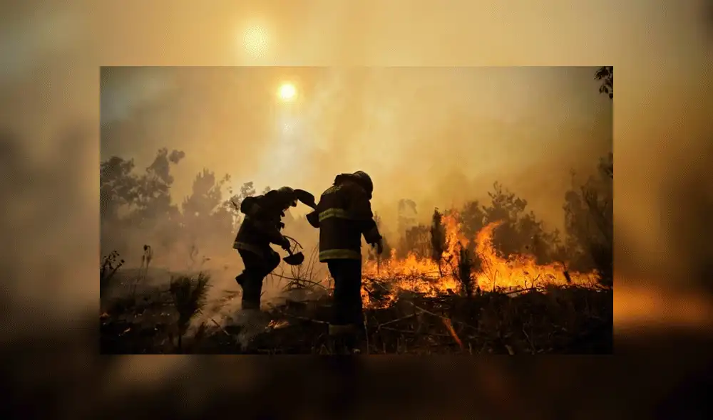 Tragedia en Amazonas: los últimos incendios forestales en Sudamérica [FOTOS Y VIDEOS]