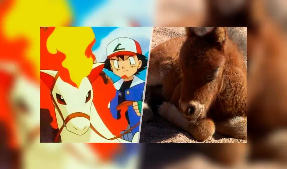 Ponyta tuvo una impactante y muy tierna pre-evolución que fue descartada hasta dos veces. Los fans en Facebook deliran tras revelarse el dulce aspecto de la criatura. Ponyta tuvo una impactante y muy tierna pre-evolución que fue descartada hasta dos veces. Los fans en Facebook deliran tras revelarse el dulce aspecto de la criatura.