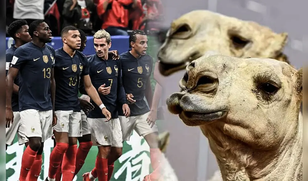 Francia jugará por segunda vez consecutiva una final de la Copa del Mundo. Foto: composición LR/AFP