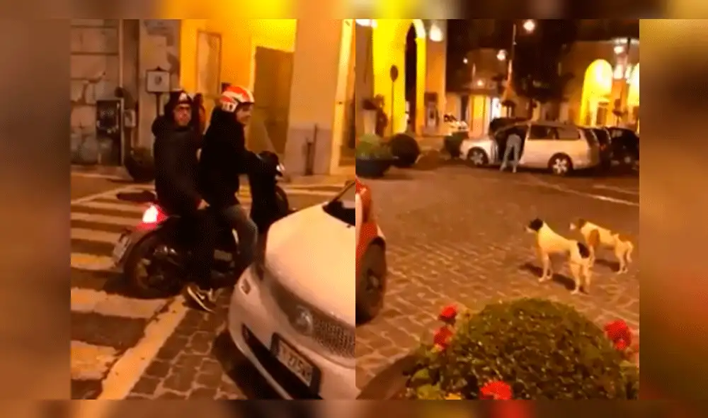 Facebook Viral: Motociclista quiso 'trolear' a perros, pero todo terminó mal [VIDEO]