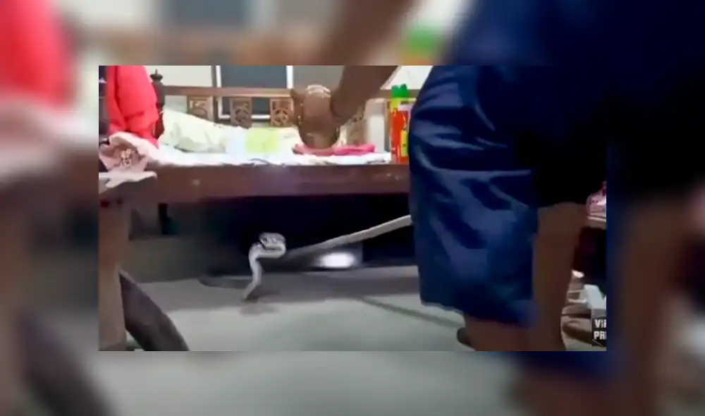 Desliza hacia la izquierda para ver las imágenes del viral de Facebook: Fotocaptura: Viral Press. Desliza hacia la izquierda para ver las imágenes del viral de Facebook: Fotocaptura: Viral Press.