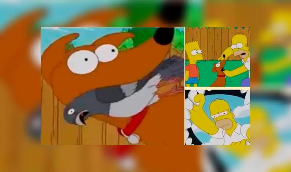 Vía Facebook: divierte con la mejor selección de memes de 'Adiós Chimuelo', el video del momento [FOTOS]